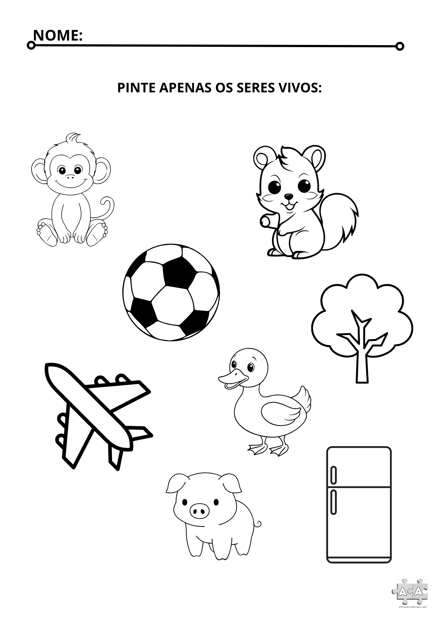 Identificando os seres vivos